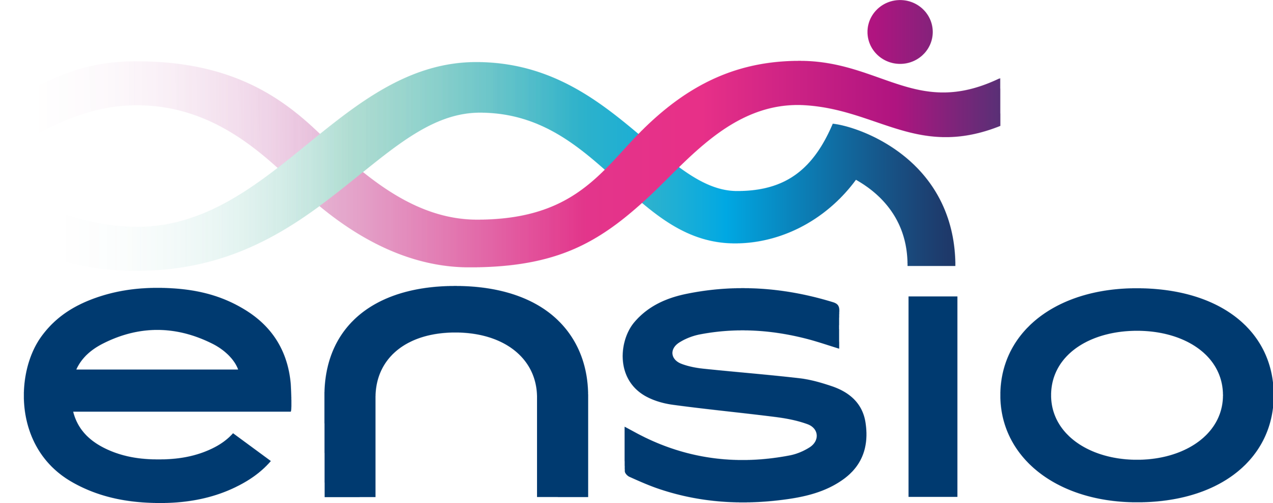 ensio-logo